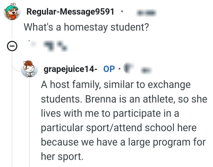 A homestay student