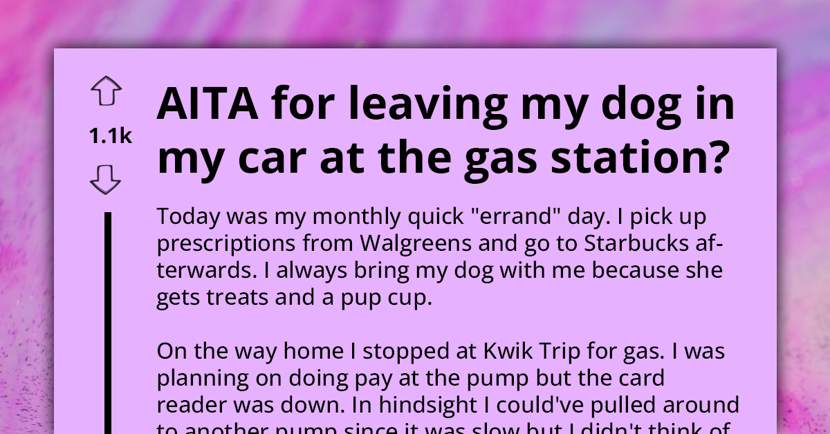 Woman Goes Berserk On Pet Parent For “Abandoning” Their Dog In The Car, Vows To Expose Their Negligence On TikTok