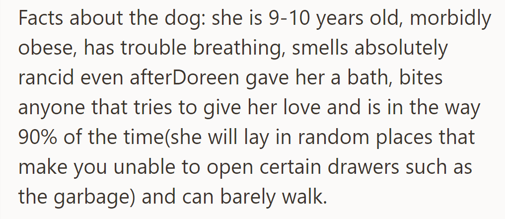 The dog, aged 9-10, morbidly obese, struggles to breathe, smells foul despite baths, and obstructs daily tasks.