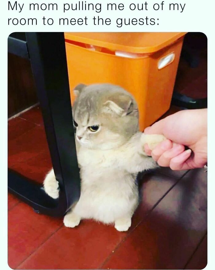 35. I don't want to go anywhere or meet anybody