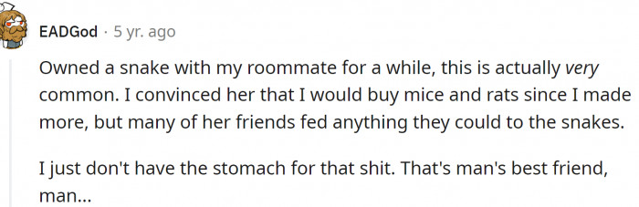 Unfortunately, some snake owners will feed them anything