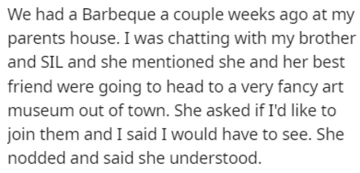 The sister-in-law recently invited OP to a fancy art museum at a barbecue