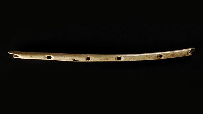 9. The World's Oldest Known Musical Instrument, Dating Back 40,000 Years.