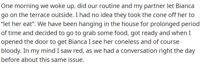 Everything went well, but OP found out that their partner took off the cone from the dog again.