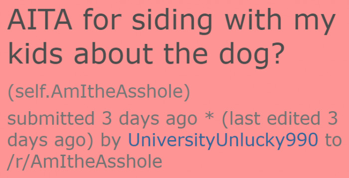 A woman decided to ask the AITA community about her family's issue with the Heeler her husband brought home.