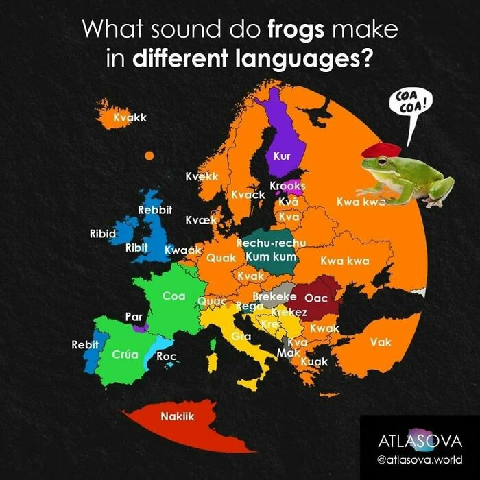 4. What Sound Do Frogs Make In Your Language?