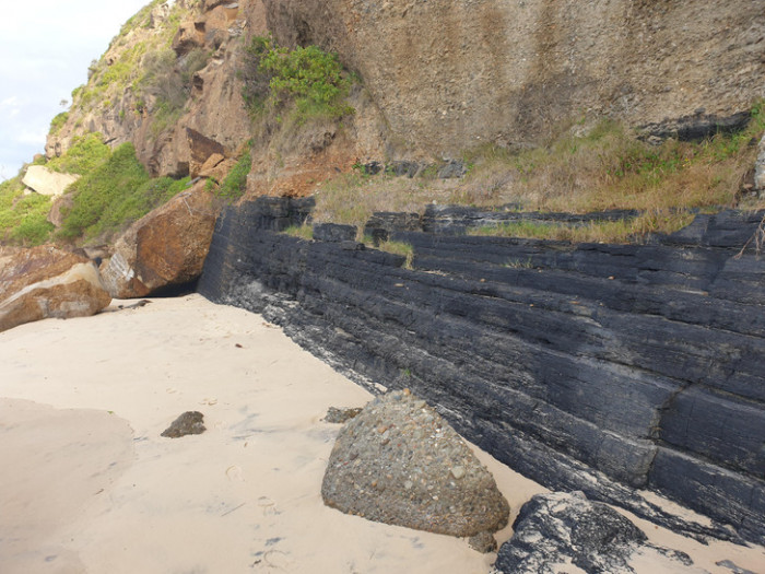 7. This cliff on the beach has an exposed coal seam: