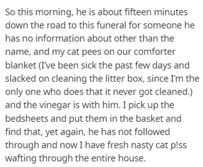While the boyfriend was on his way to the funeral, one of their cats peed on their comforter blanket