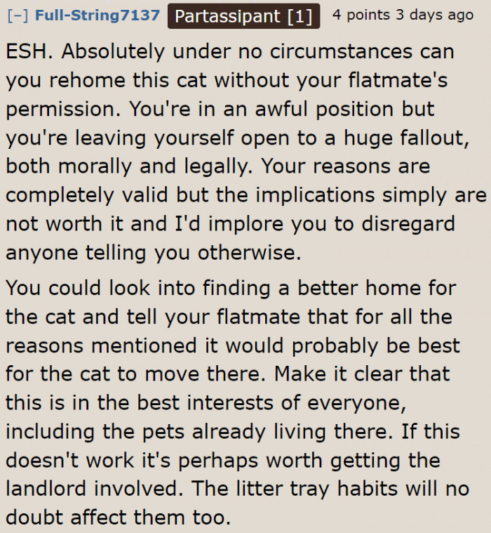 Before they can rehome the cat, the OP needs permission first.