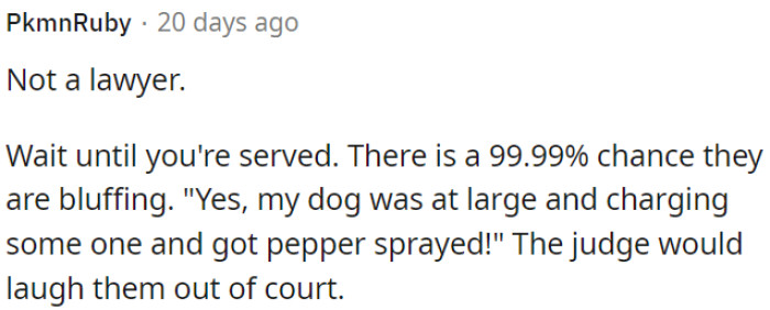 If Their Dog Was Running Loose and Charging at Someone Who Used Pepper Spray in Self-Defense, It's Unlikely They Would Have a Strong Case in Court.