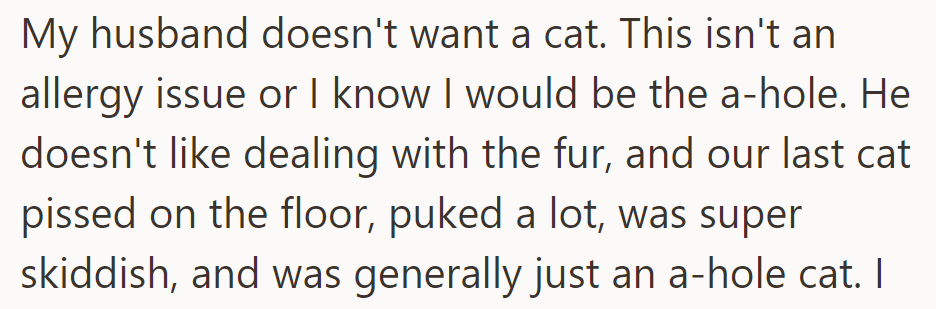 OP's husband opposes getting a cat due to past negative experiences with fur, messes, and behavior issues.