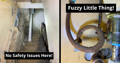 Boston Home Inspectors Reveal Their Most Disturbing Discoveries On Duty, And Here Are 30 Of The Scariest Photos