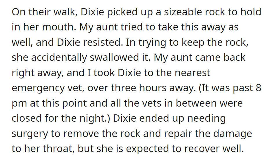 Dixie swallowed a rock on a walk and needed emergency surgery. She's expected to recover.