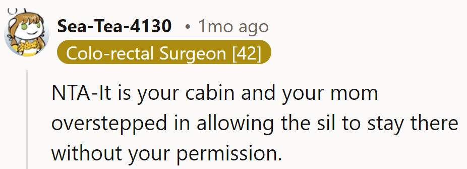 Mom's cabin management skills are like playing Monopoly with a 