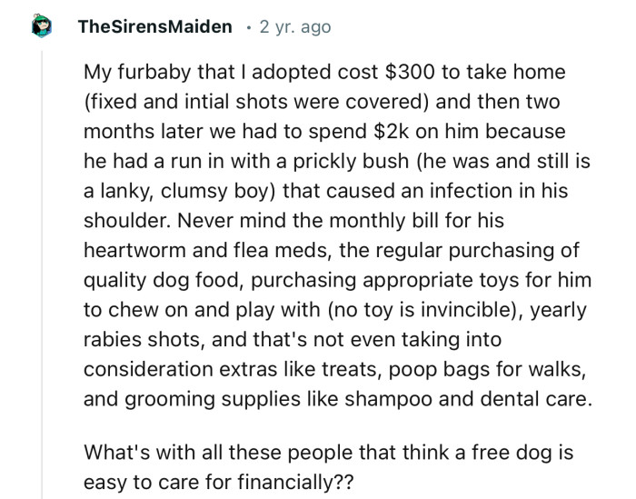 “What's with All These People That Think a Free Dog Is Easy to Care for Financially?”
