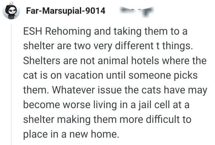 Shelters are not animal hotels where the cat is on vacation