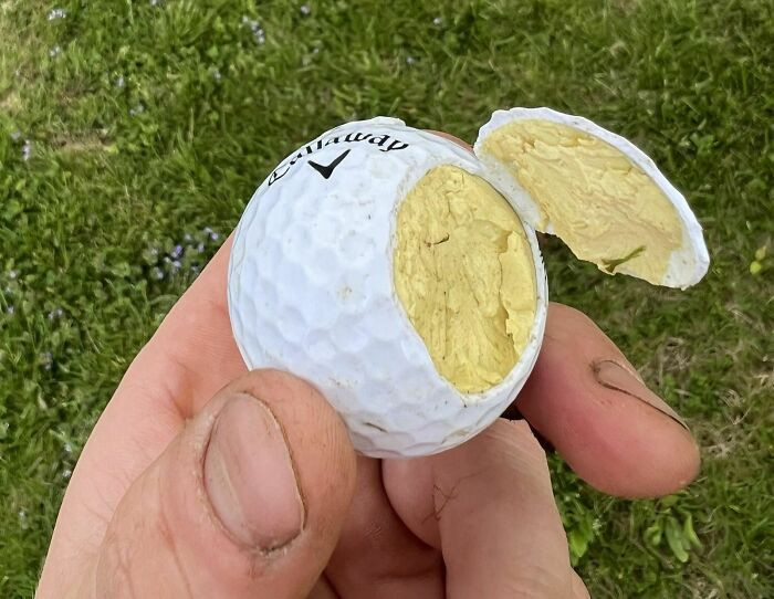 47. They observed that the interior of the golf ball resembled the appearance of a boiled egg.