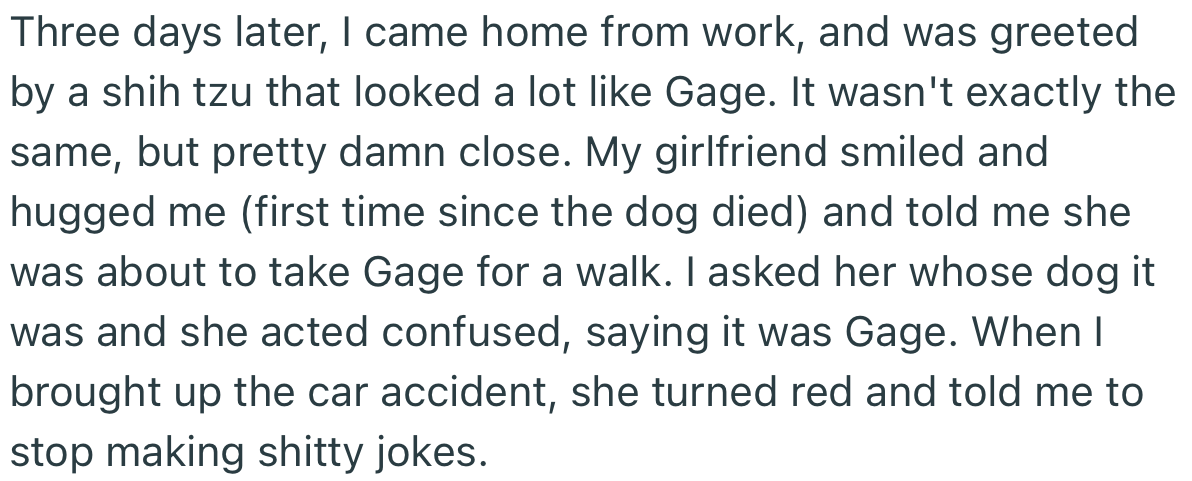 OP came back from work to discover that his girlfriend had bought an identical Shih Tzu and was pretending it was Gage