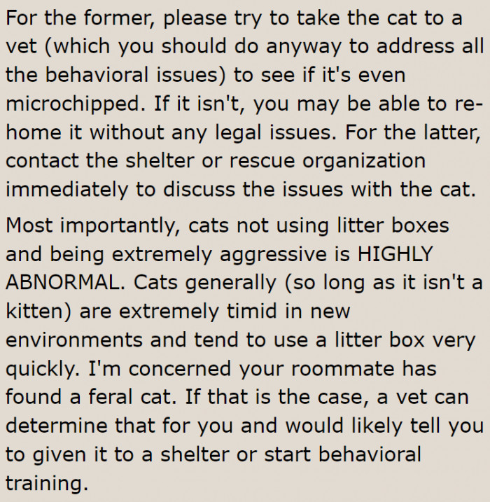 The OP can try to find out if someone else owns the cat.