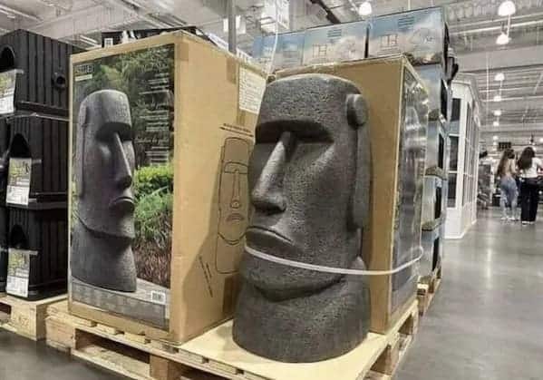 5. It takes real guts to challenge the HOA. A brave warrior indeed.