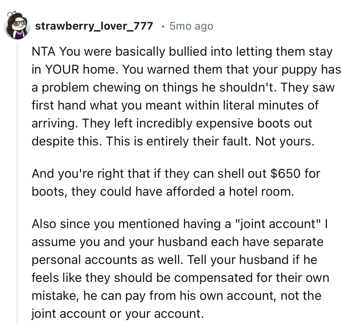 “NTA. You warned them that your puppy has a problem chewing on things he shouldn't.”
