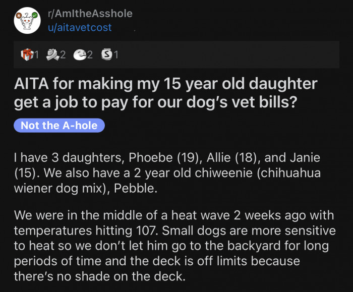 Here's the original post by u/aitavetcost: