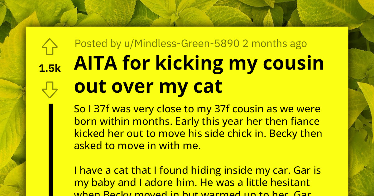 Woman Takes In Cousin Who Was Kicked Out By Her Boyfriend, She Repays It By Taking Her Cat To Shelter