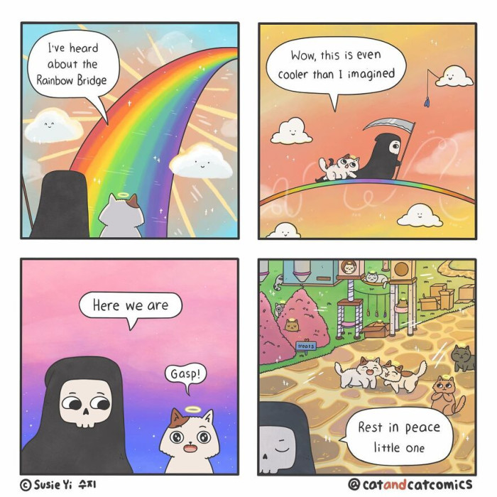 18. The rainbow bridge