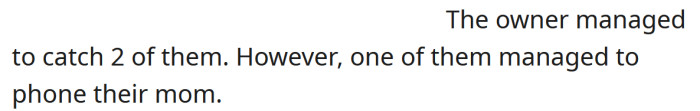 He managed to catch two of them, but the third one was able to run away and call his mother.