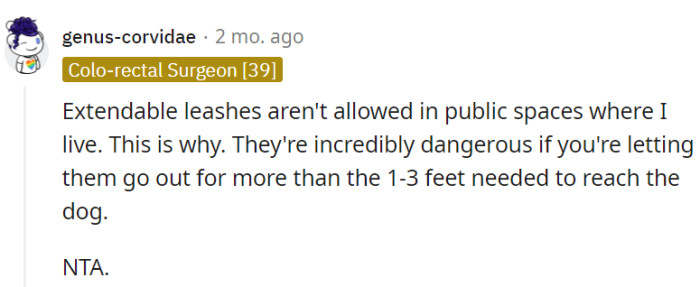Extendable Leashes Are Dangerous in Public Spaces, and Responsible Pet Ownership Means Following Regulations to Ensure Safety for Everyone.