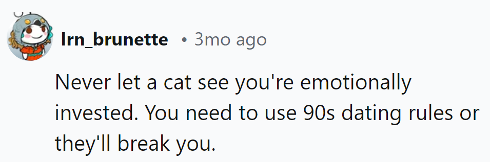 In the feline dating game, emotional investment is a no-go. Stick to '90s rules or risk getting clawed!