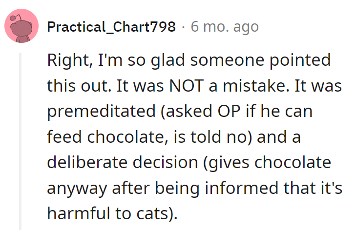 It wasn't a mistake; it was a carefully planned drama with a sprinkle of disobedience.