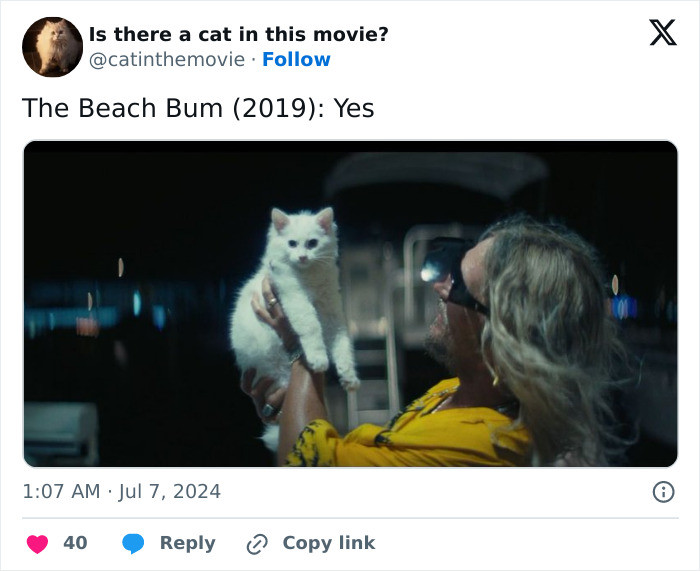 The Beach Bum