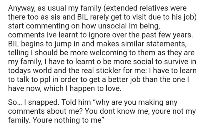 During one of their family gatherings, everyone seemed to be picking on OP due to his introverted personality. In that moment, his BIL joined the conversation, making some snide remarks about his lifestyle. This prompted OP to snap.