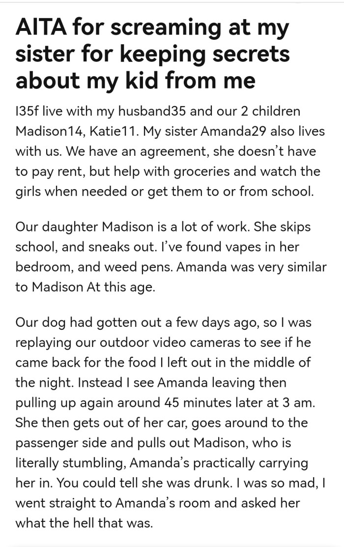 OP allowed her sister stay with them and agreed to help with groceries and watch their children.