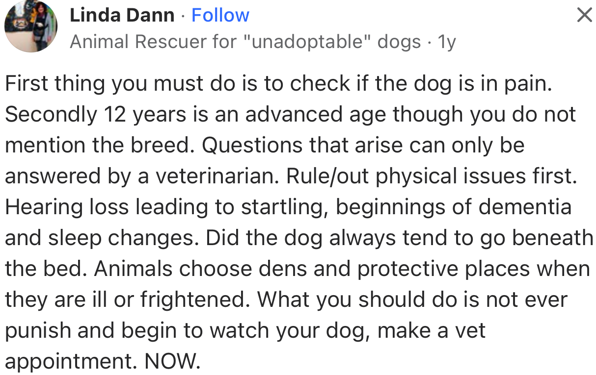 “The first thing you must do is check if the dog is in pain. Make a vet appointment now.”