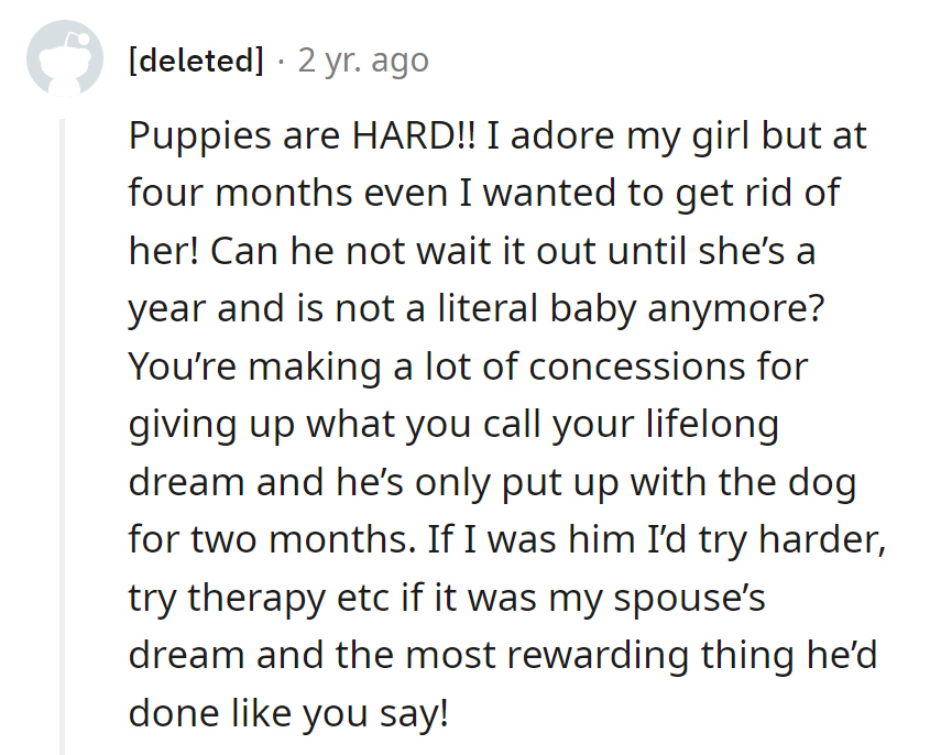 Puppy chaos is real! A little extra effort might save the shoes and fulfill her dream.