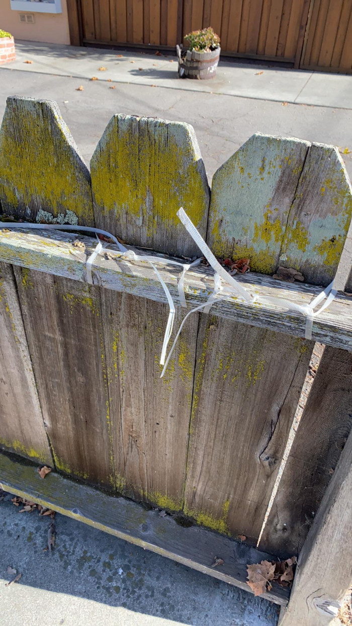 19. The landlord said the screws weren’t holding