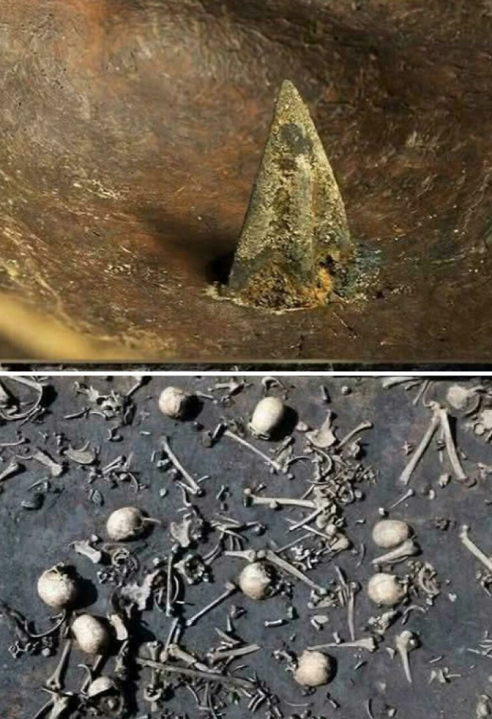"In a Quiet Valley of Northern Germany, Archaeologists Found What May Be Europe's Oldest Battlefield - a Scene of Chaos Frozen for Over 3,000 Years"