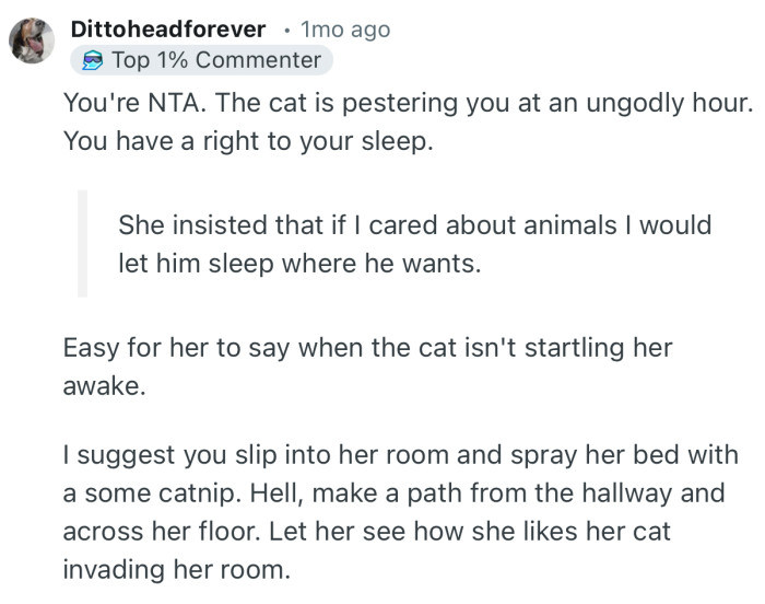 “You're NTA. The cat is pestering you at an ungodly hour. You have a right to your sleep.”