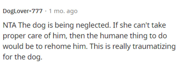 It is very traumatizing for the dog, and the roommate is not doing their part by caring for the dog in the best way, which is making it hard.