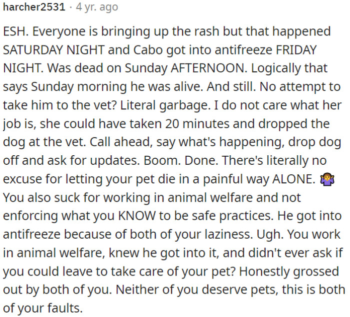 They both acted irresponsibly and didn't deserve to have pets.