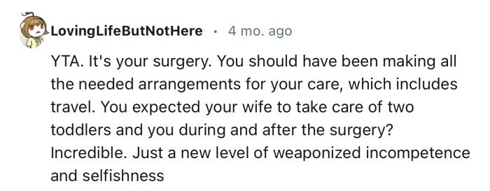 “YTA… Just a New Level of Weaponized Incompetence and Selfishness.”