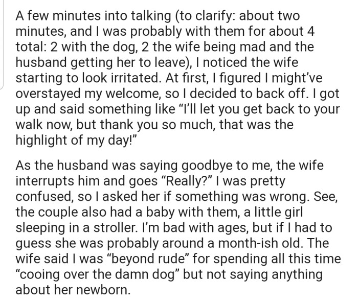 It wasn't long before OP noticed that the wife was looking irritated. Apparently, she couldn't understand how OP could give so much attention to the dogs and not say a word about her newborn, who was snuggled up in the stroller.