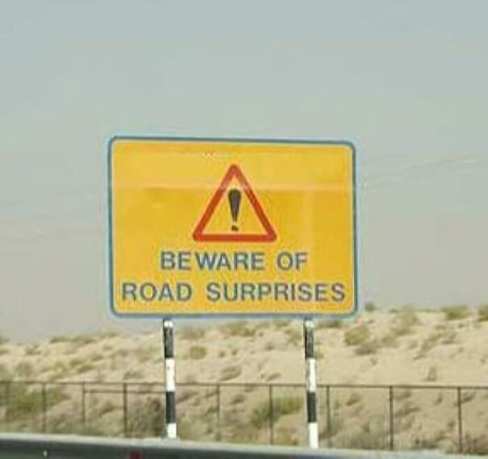 "What Are The Surprises?"