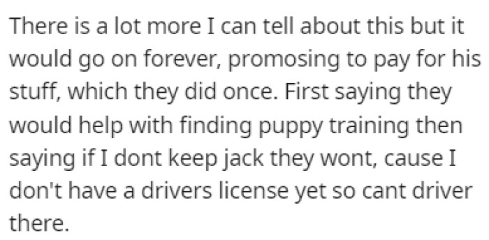The parents agreed to find puppy training for the Terrier, but only if OP keeps it