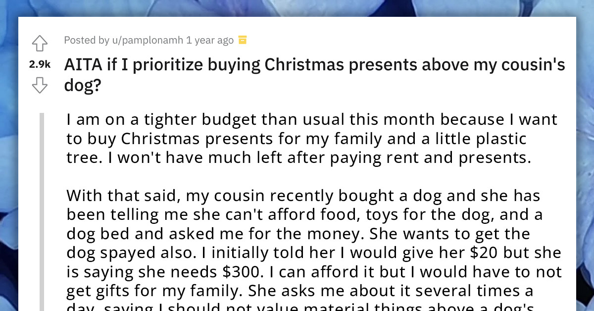 Animal Lover Chooses To Get Christmas Gifts For Family Over Contributing To The Welfare Of Their Cousin's Dog, Gets Slammed For Having Their Priorities Wrong