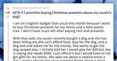 Animal Lover Chooses To Get Christmas Gifts For Family Over Contributing To The Welfare Of Their Cousin's Dog, Gets Slammed For Having Their Priorities Wrong