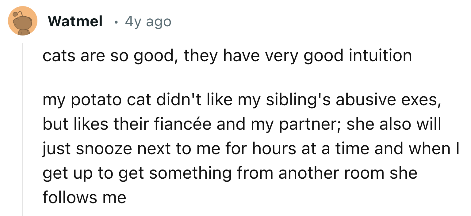 Cats Have Very Good Intuition