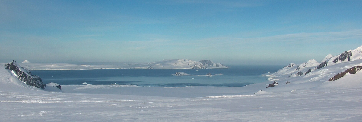 Fun Facts About Antarctica: The Continent No Country Owns